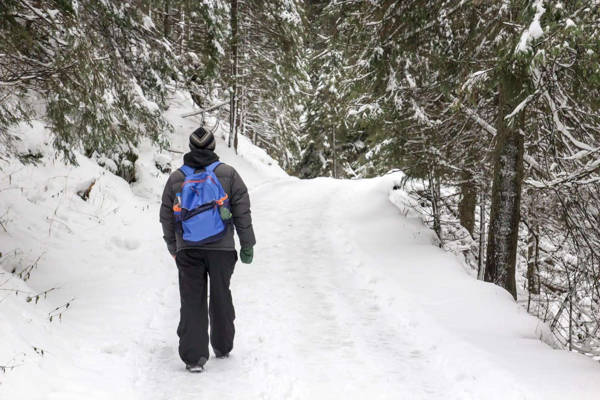 Muž na stezce v zasněženém lese