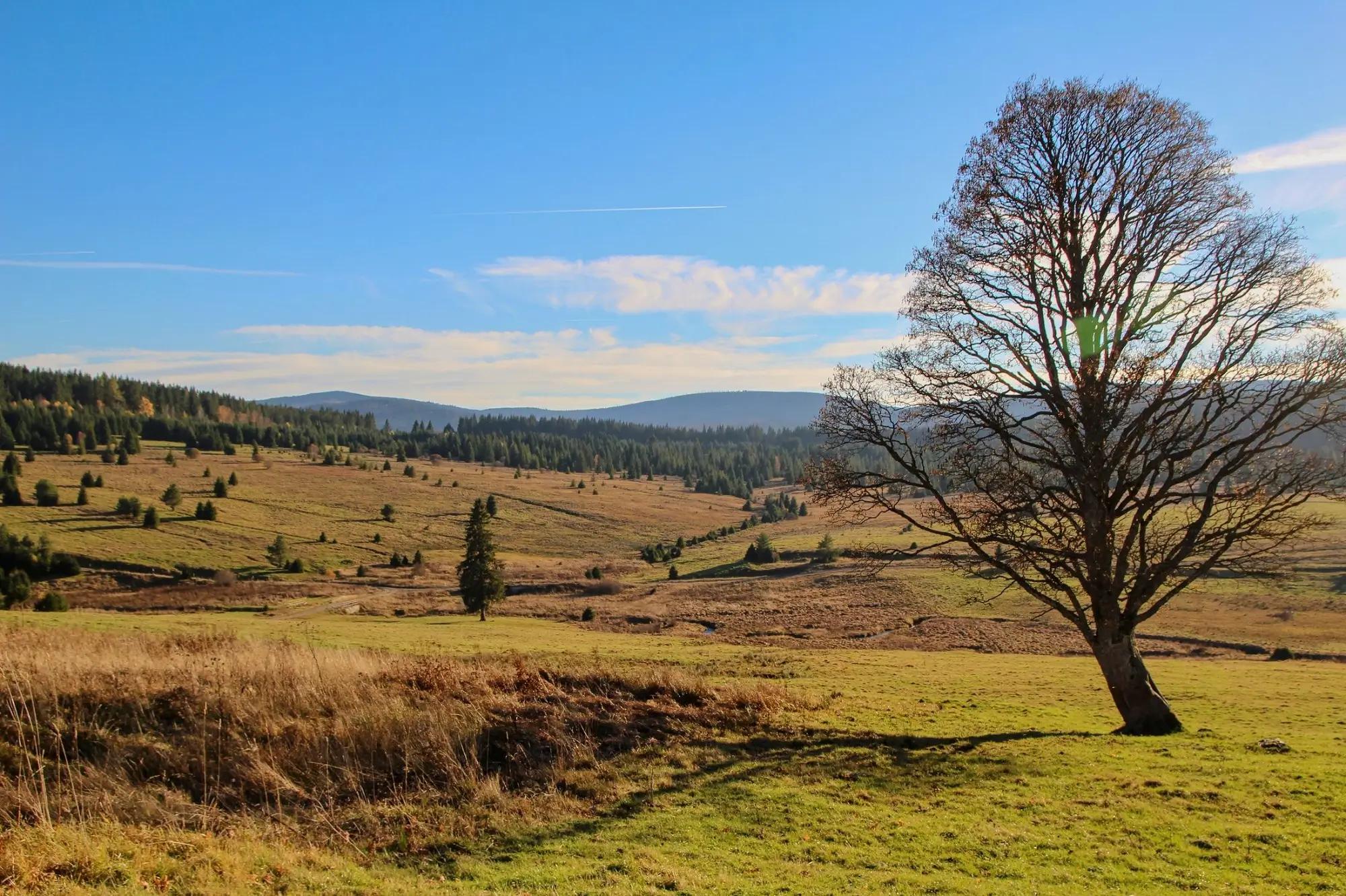 Bývalé Zhůří - Šumava