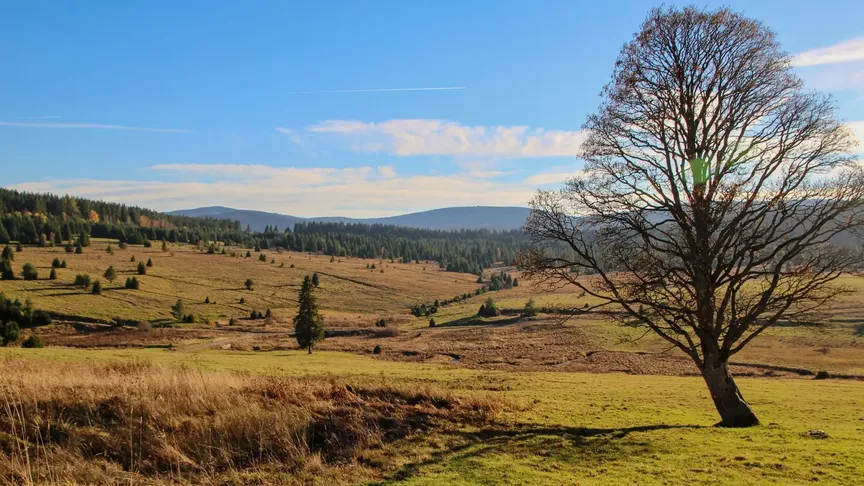 Bývalé Zhůří - Šumava