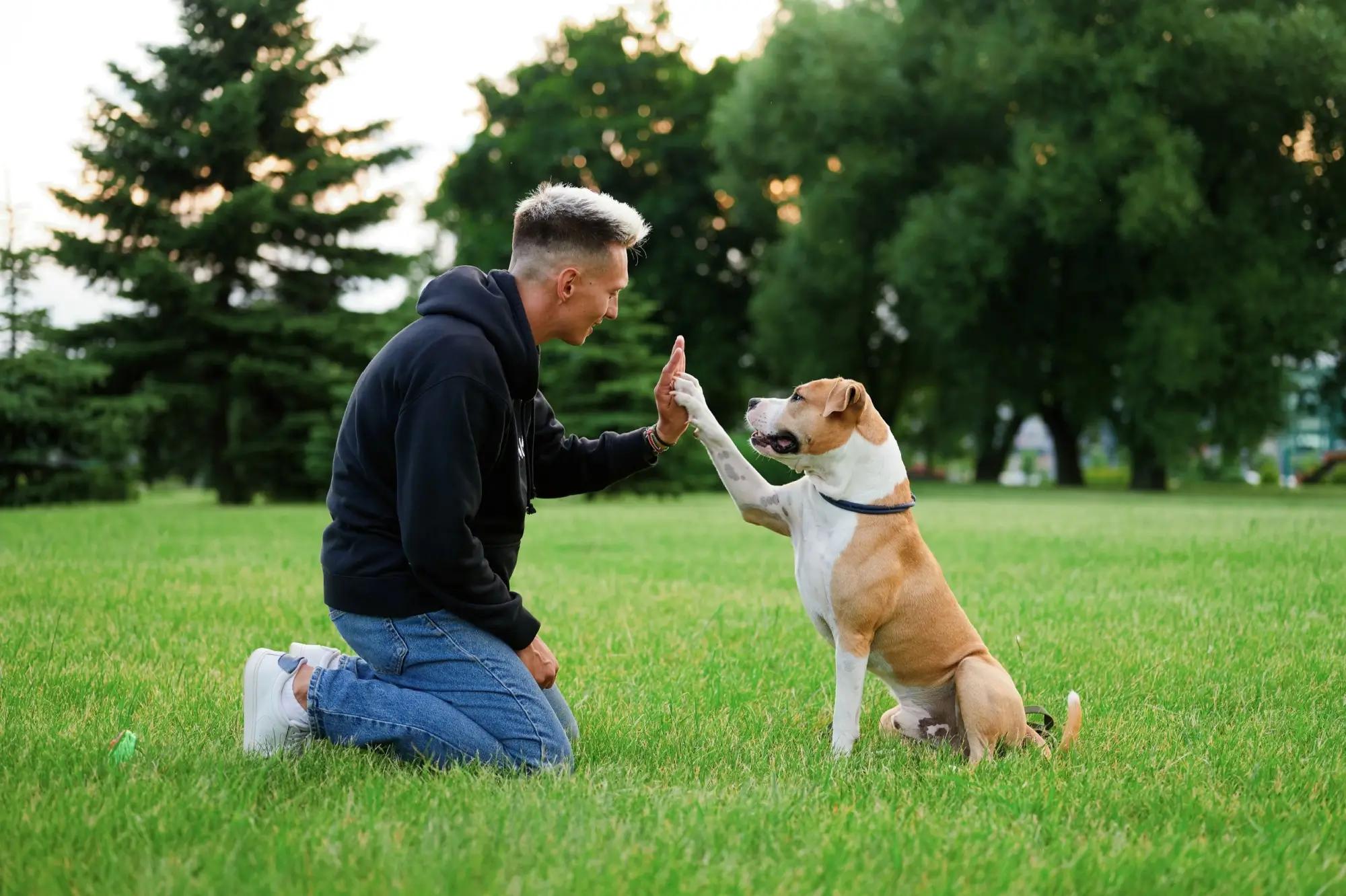 Muž si dává pac se svým psem v parku na trávníku