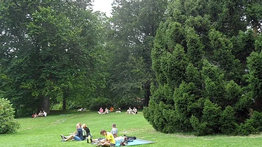 Okolí Karlovy studánky