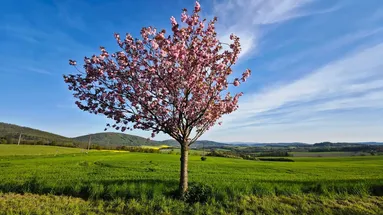 Místo, které musí všichni Češi vidět.