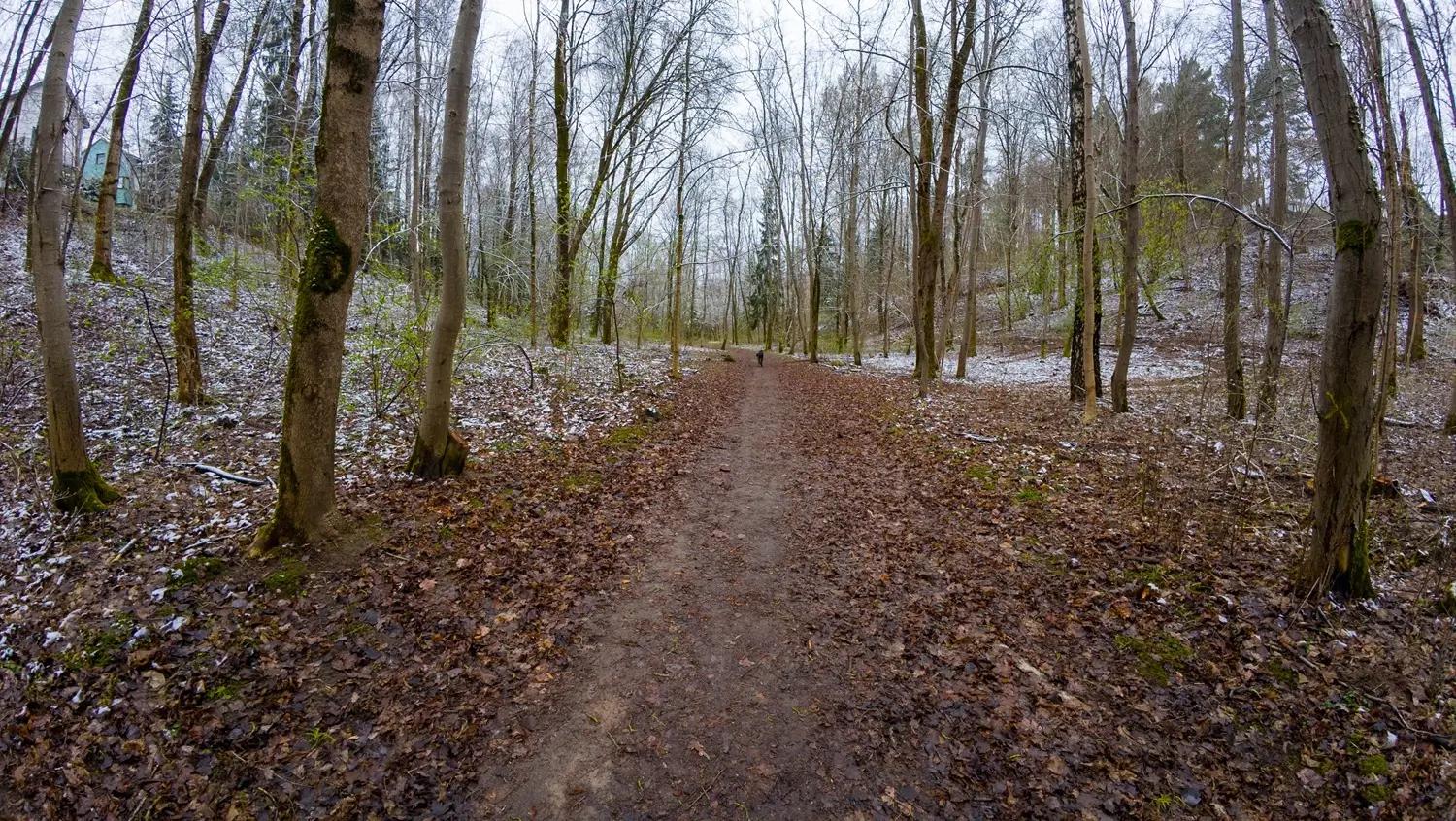 Ve bude dne jaro, v noci bude mrznout. Zdroj Shutterstock