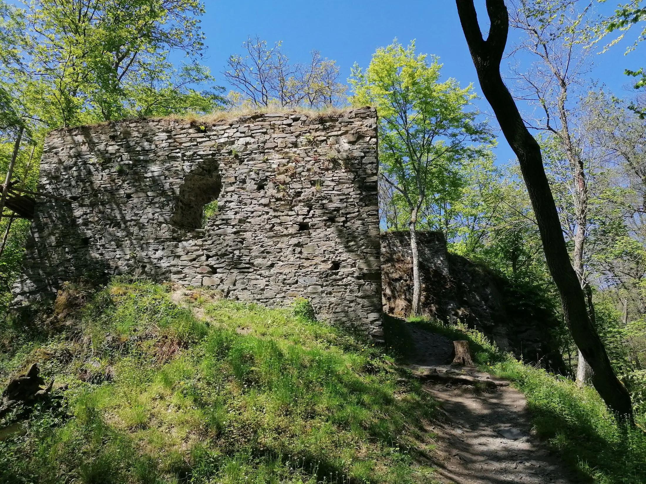 Zřícenina hradu Jenčov, vidět jde také vyšlapaná cesta k němu. Okolí je plné zeleně.