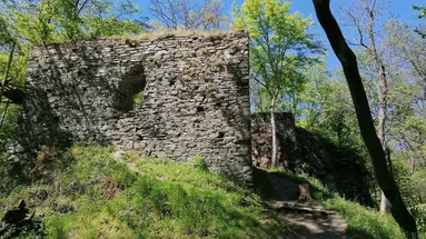 Zřícenina hradu Jenčov, vidět jde také vyšlapaná cesta k němu. Okolí je plné zeleně.