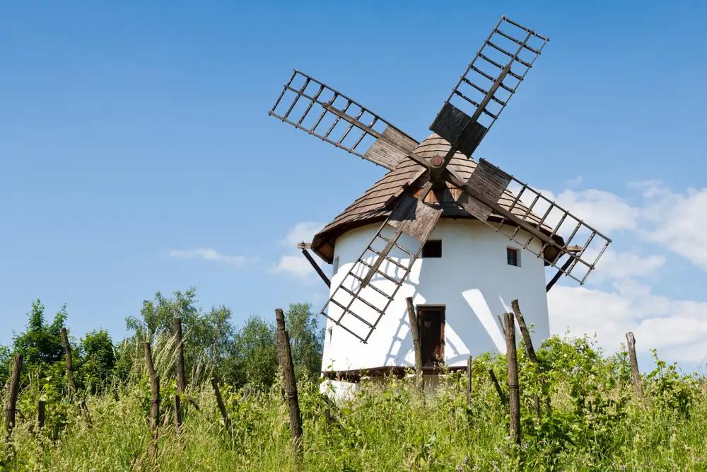 Mlýn je jednou z hlavních nezvířecích atrakcí zooparku. 