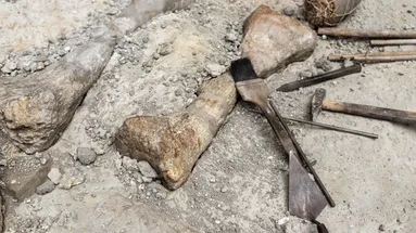 kost vyhynulého zvířete s pomůckami k jejímu vyhrabání