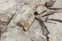 kost vyhynulého zvířete s pomůckami k jejímu vyhrabání