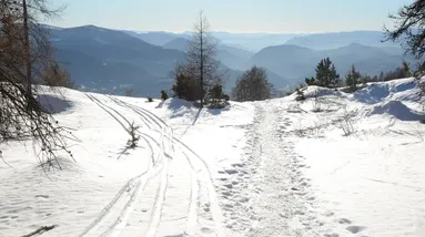 Nový způsob dopravy na hory.