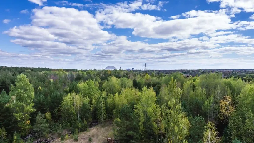 Pohled na Černobyl, který si příroda vzala zpět