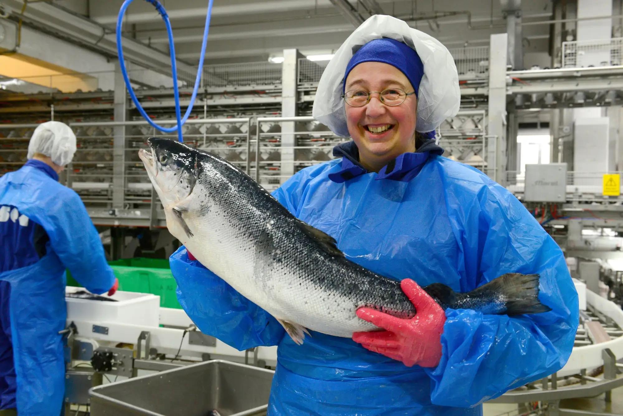 Mnoho příležitostí najdou Češi v norských rybárnách. Zdroj: shutterstock.com