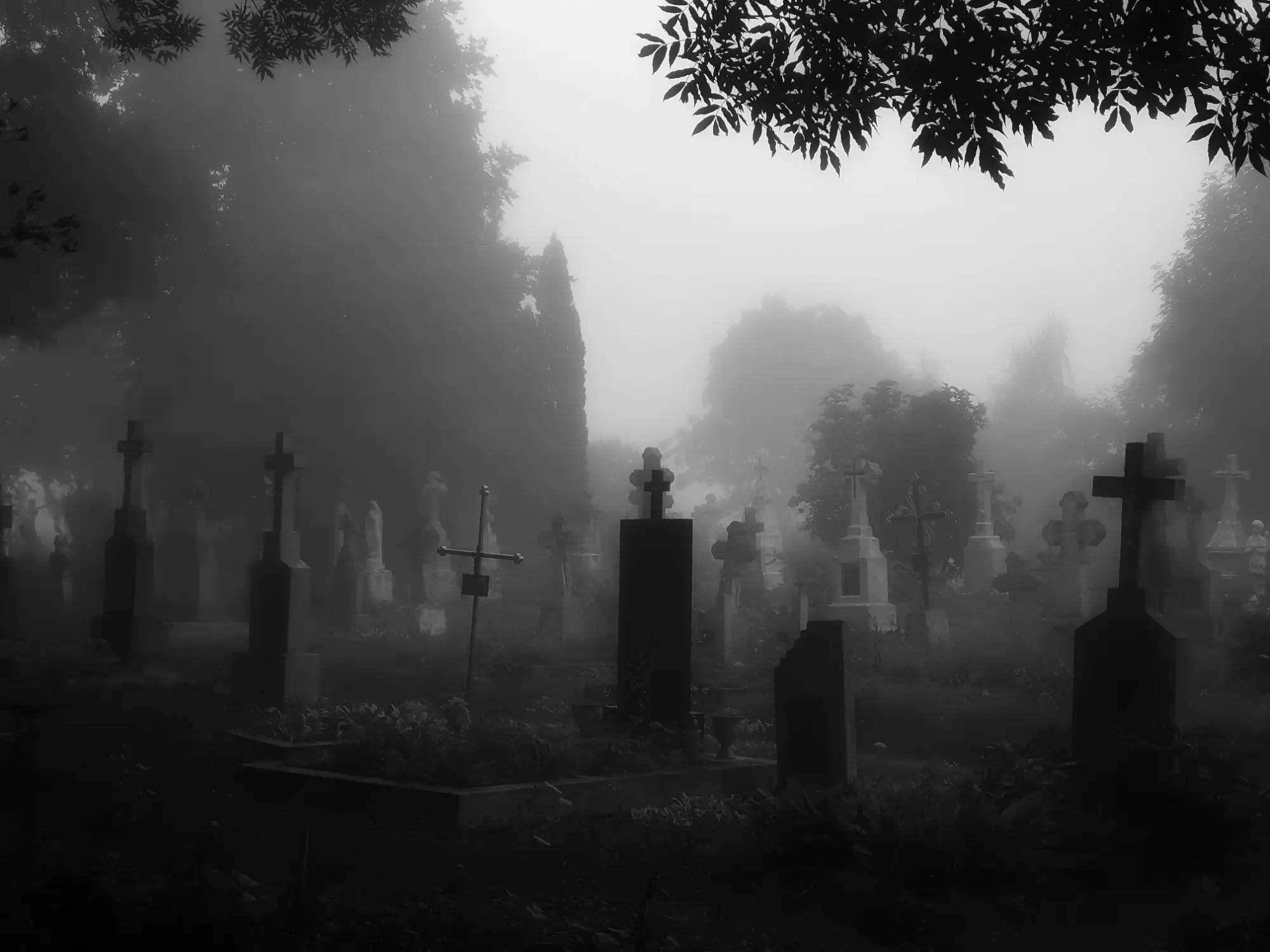 Hřbitov v mlze