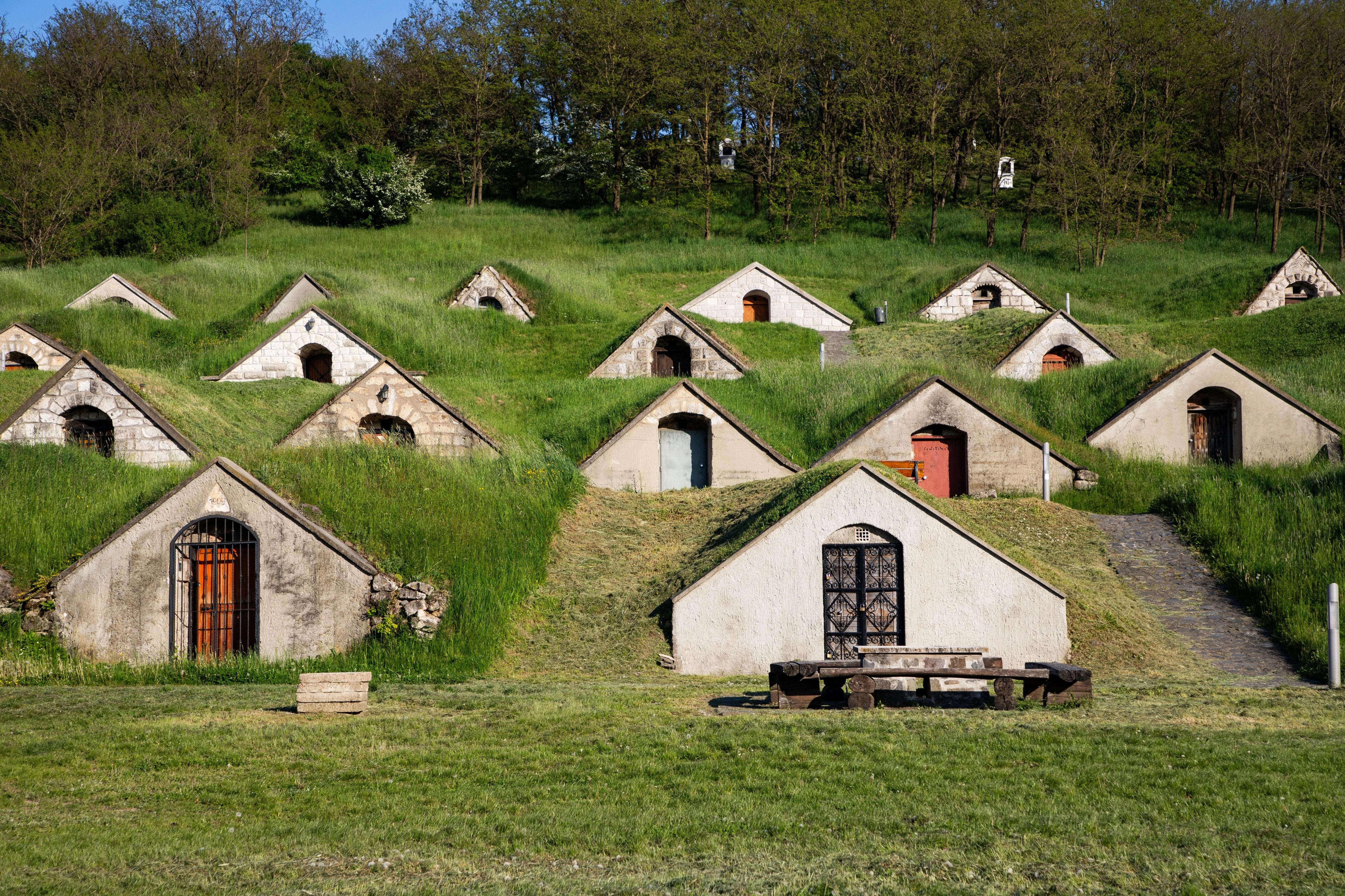 Vinné sklípky zasazené ve svahu v regionu Tokaj.