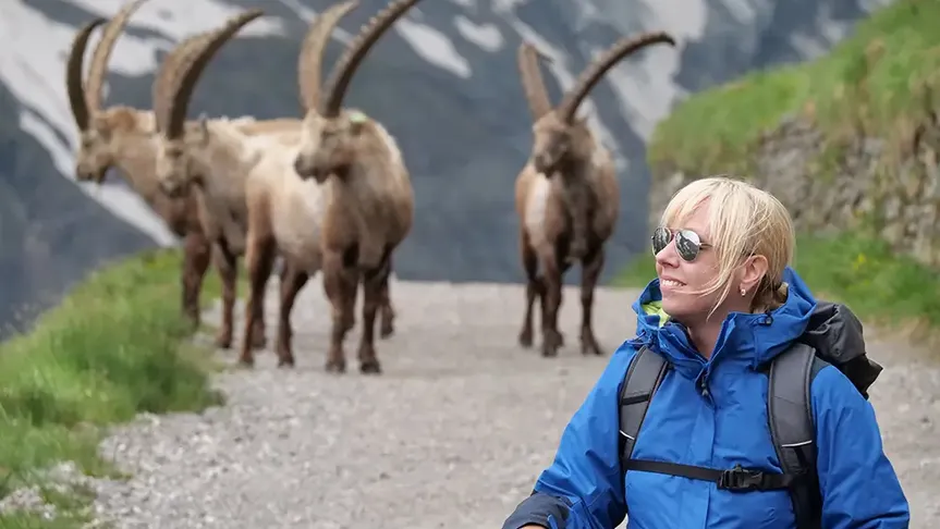 turistka s kozorohy v zádech