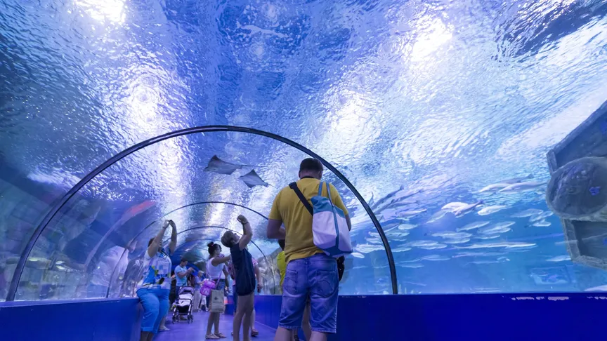 Antalya překvapí i v létě: Sněhulák, podmořský tunel a akvárium, kam se stojí za to vydat. Tohle jinde nezažijete