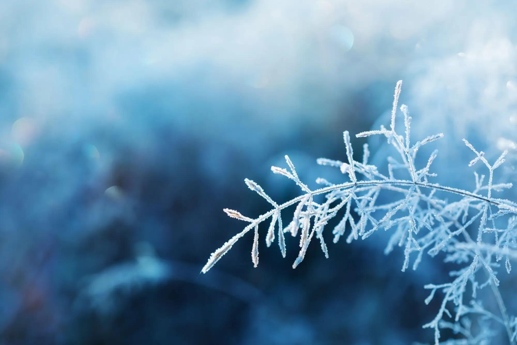 Leden 2026 bude extrémně mrazivý. 