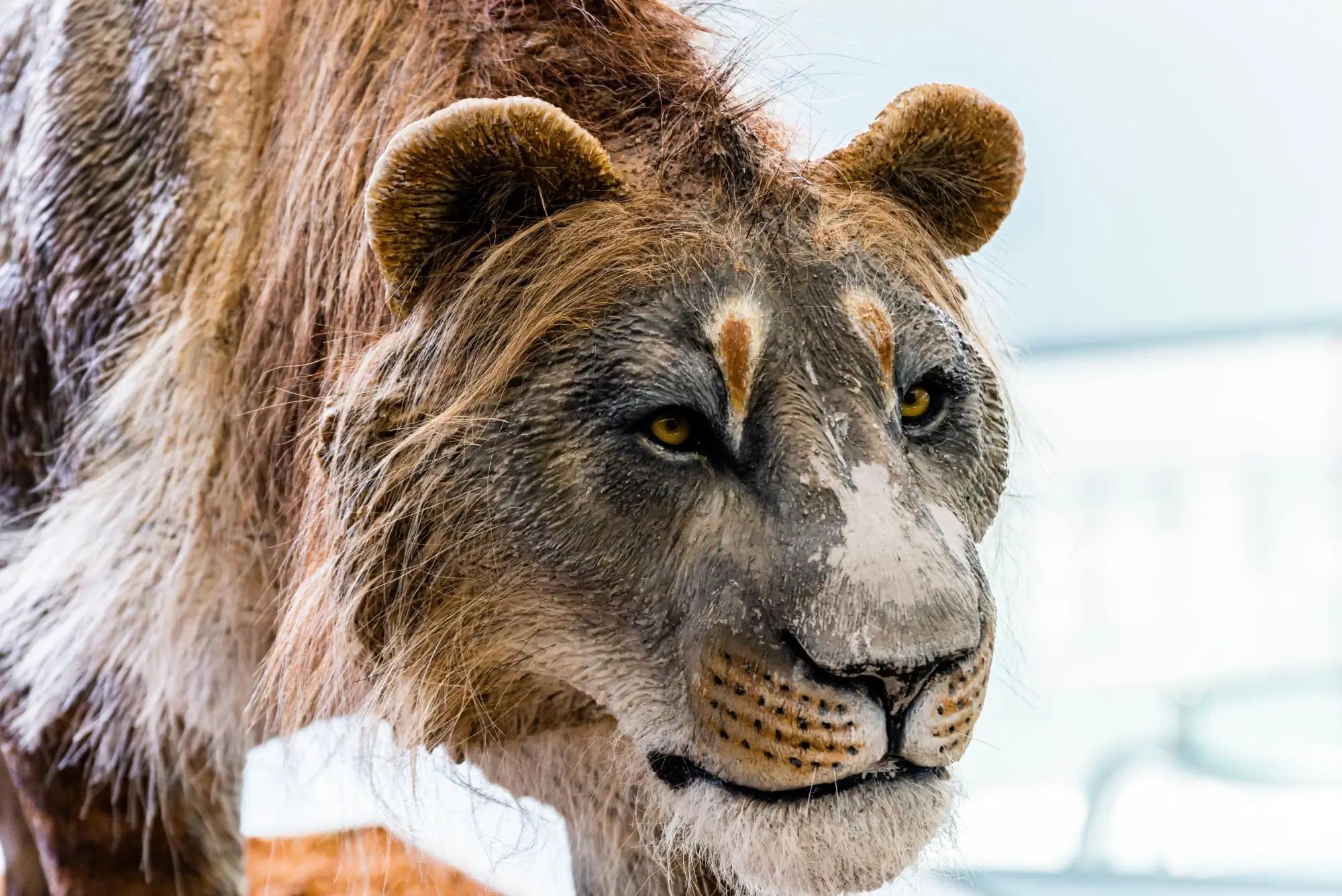 lev jeskynní rekonstrukce