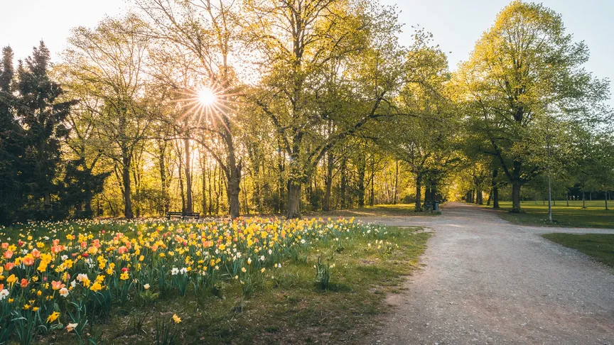Příjemné procházky po borském parku v Plzni především v letních měsících.