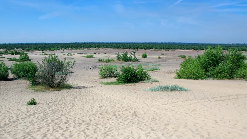 Češi objevují polskou poušť: Tady se topíte v písku, ne v davu turistů. Místní varují před jednou zásadní chybou.