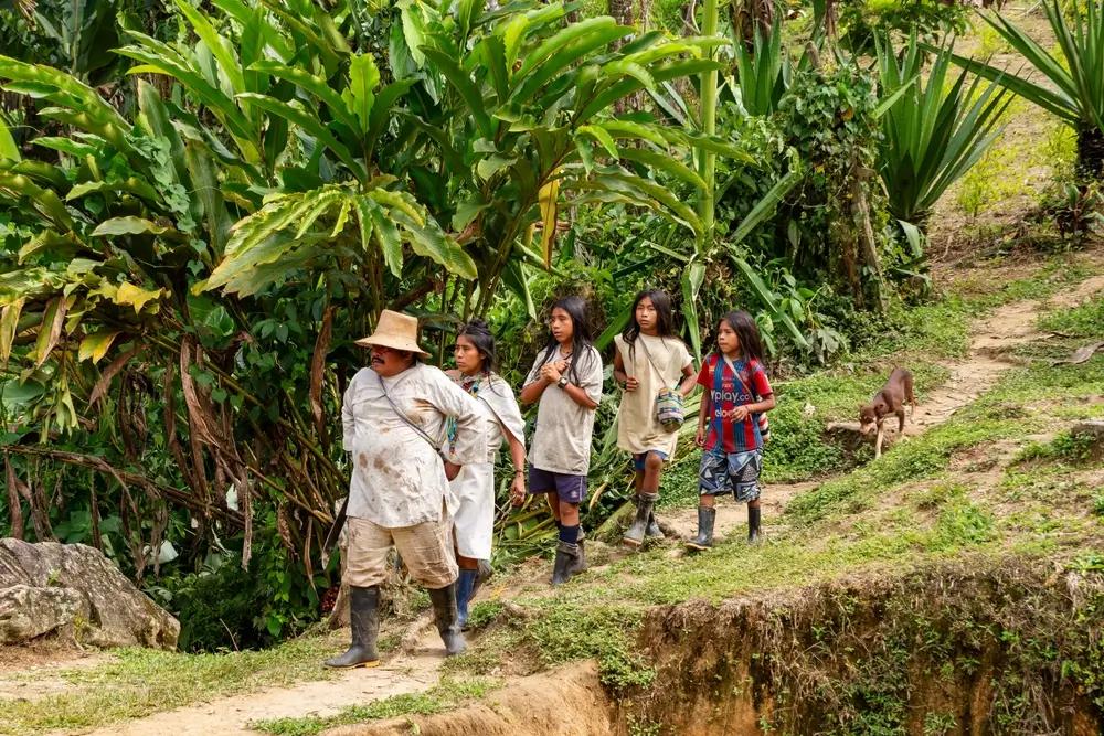 Příslušníci kmene Kogu dbají na spojení s přírodou. Věnují se zemědělství, pěstují tabák a muži často žvýkají koku.