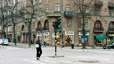 Švédsko