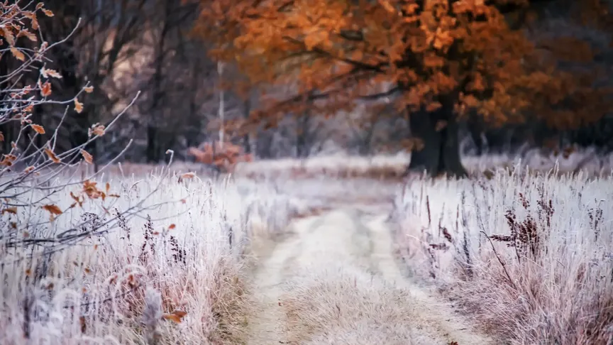 Ranní mrazíky dokážou překvapit nejen na silnici.