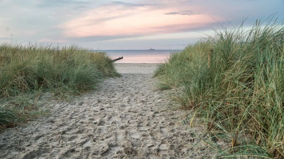 Chcete si užít dovolenou u Baltu bez starostí? Pozor na počasí, komáry i nečekaná omezení, která vás mohou překvapit