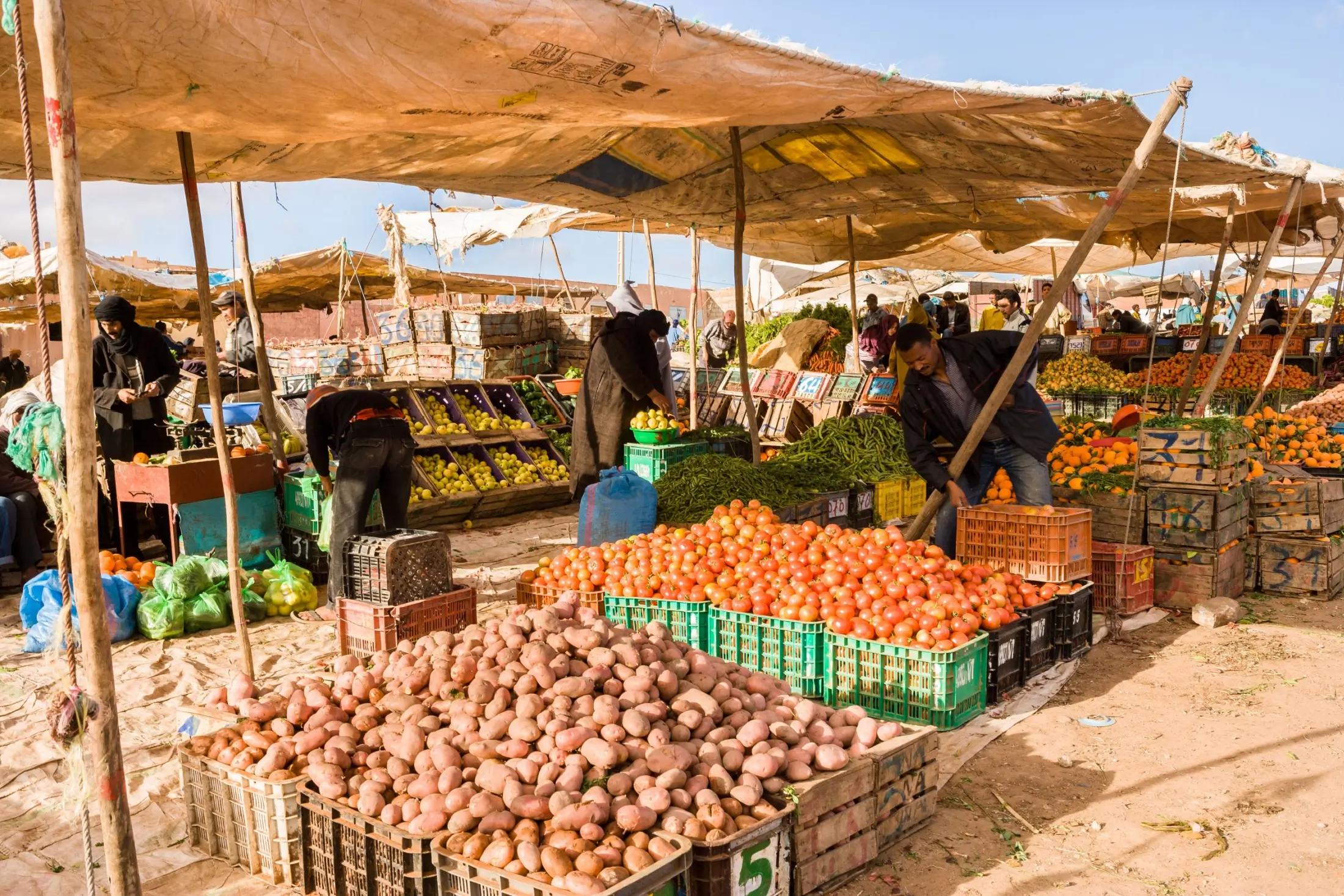 Marocká tržnice za krásného letního dne. Vidět jsou různé přístřeší i kupy ovoce a zeleniny.