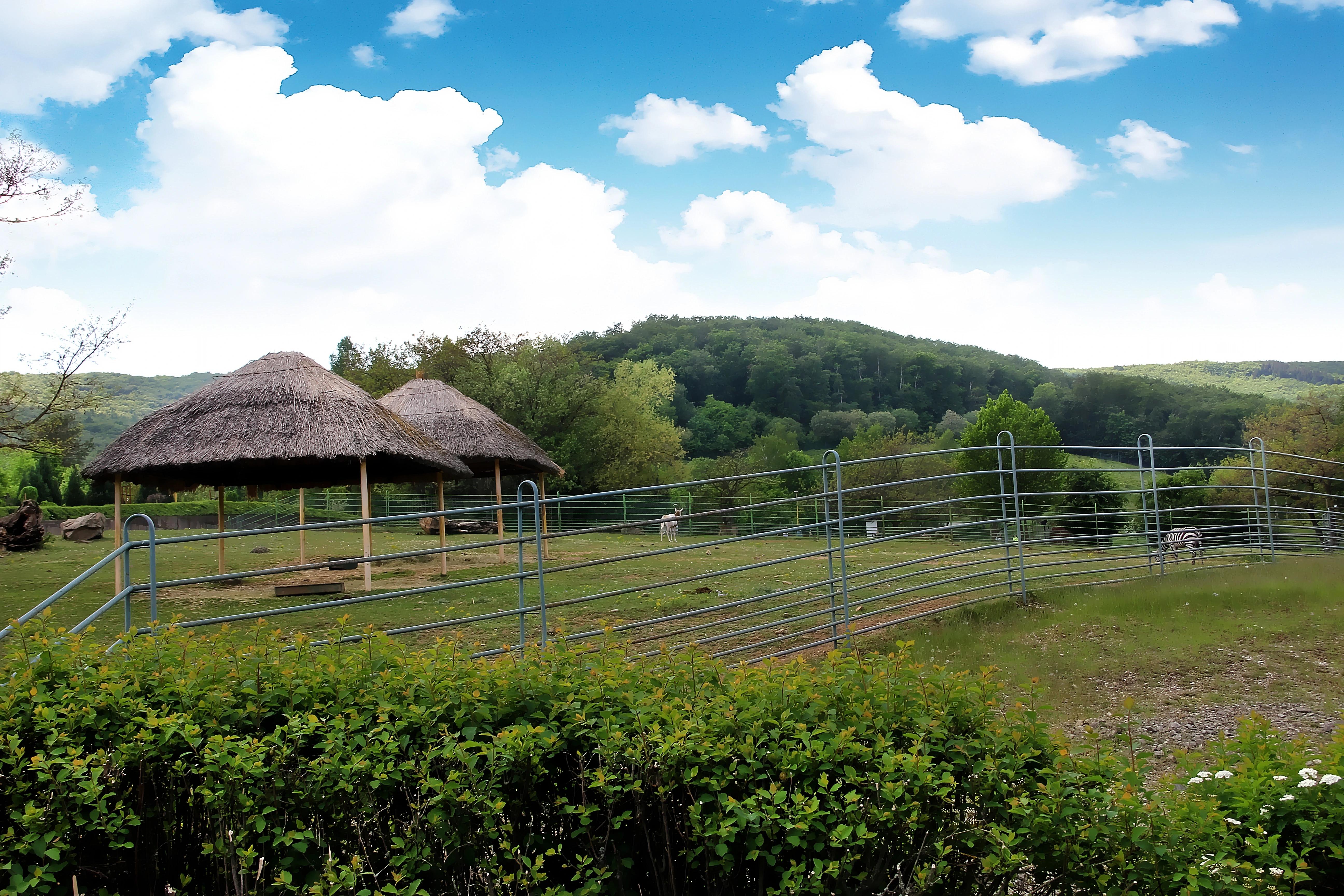 Výhled na ohradu pro zvířata a dva přístřešky v ZOO Košice. 