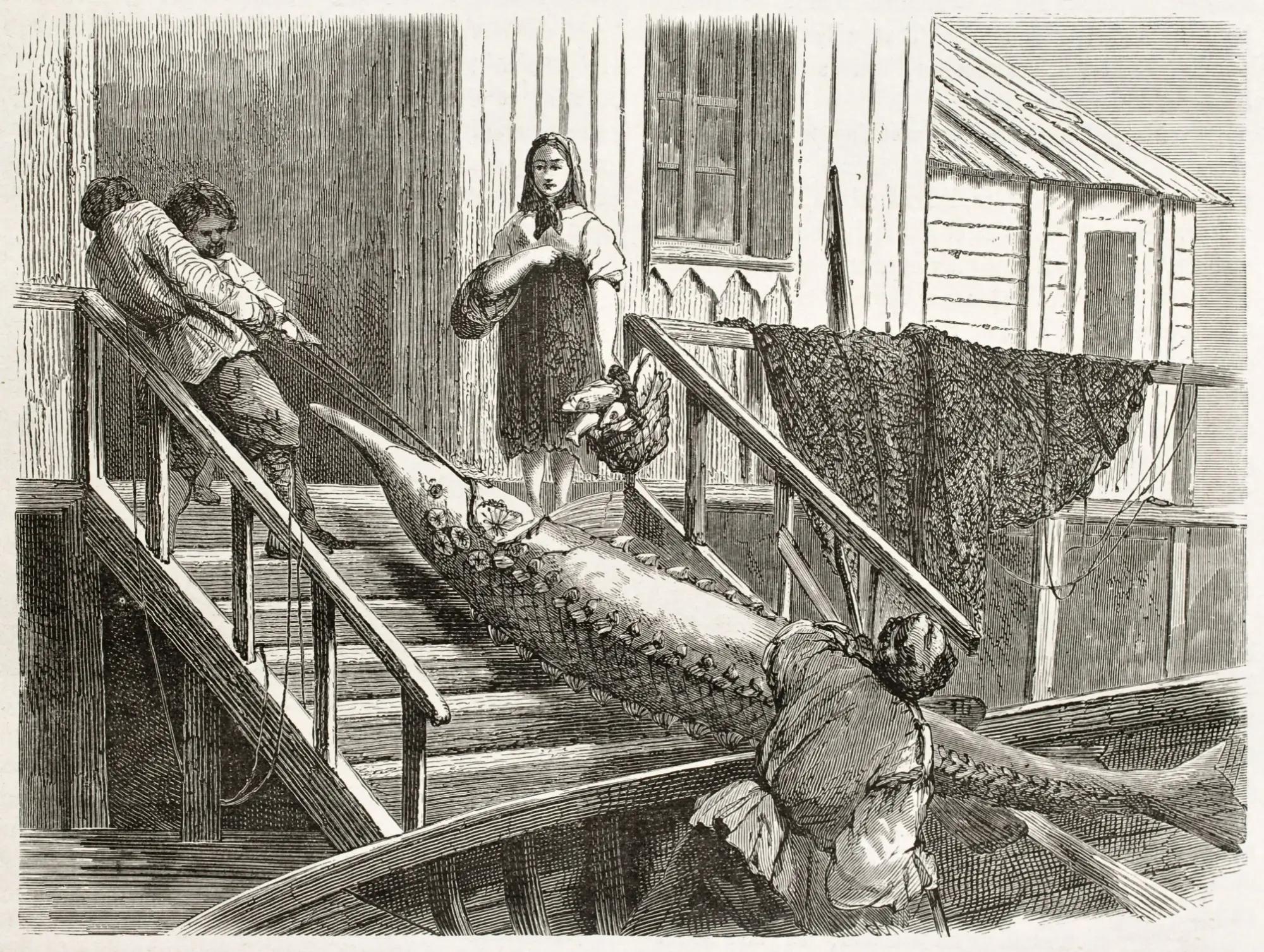 Dobová kresba rybářů vytahujících z vody velkého jesetera