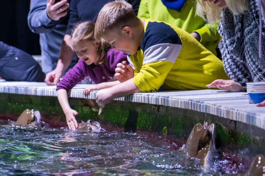 lidé hladí rejnoky v zoo Zlín