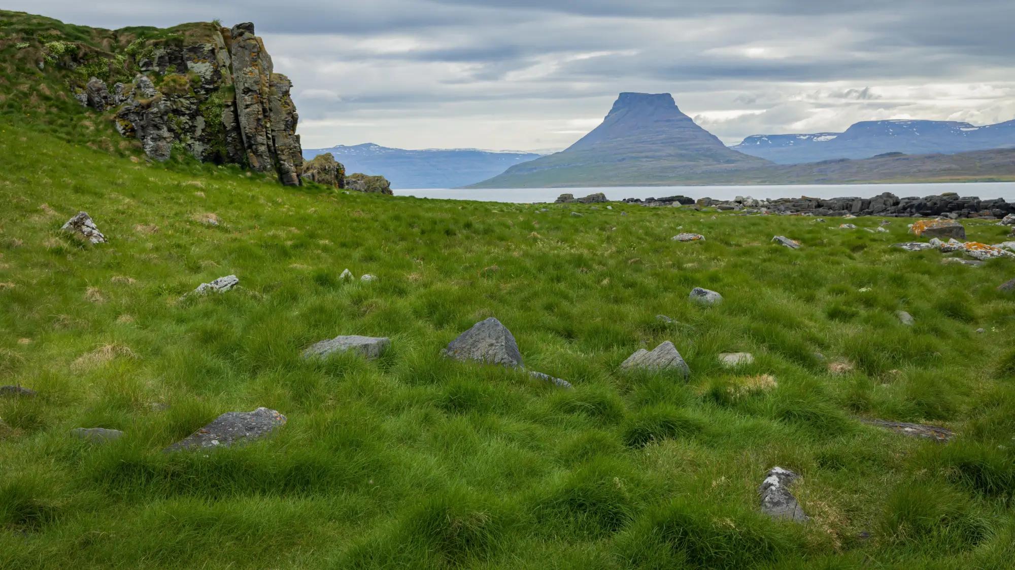 Island je nádherná země a absence komárů je skvělý benefit