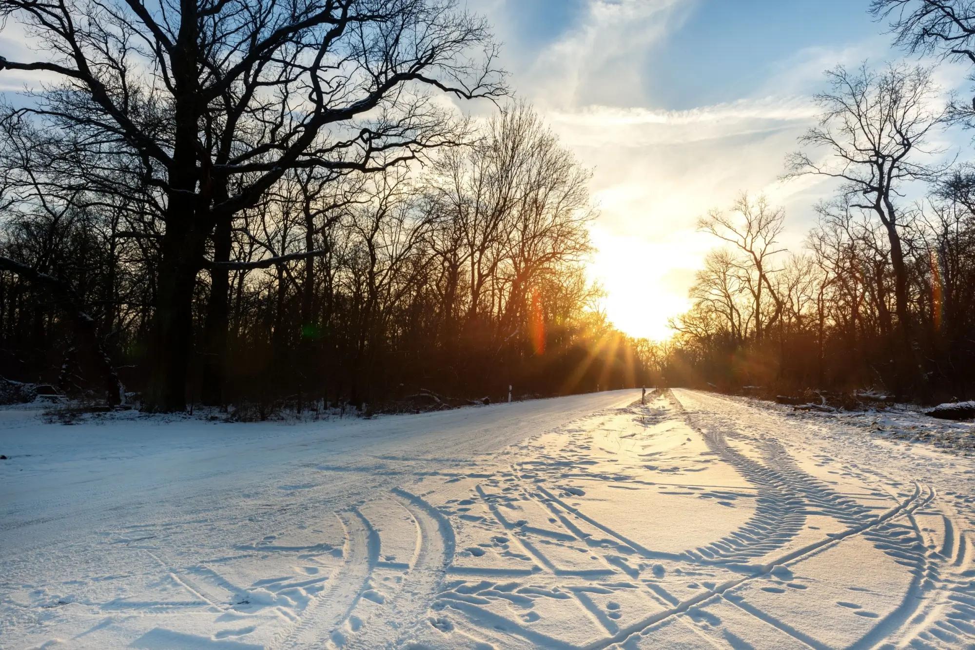 Západ slunce nad zasněženou lesní cestou