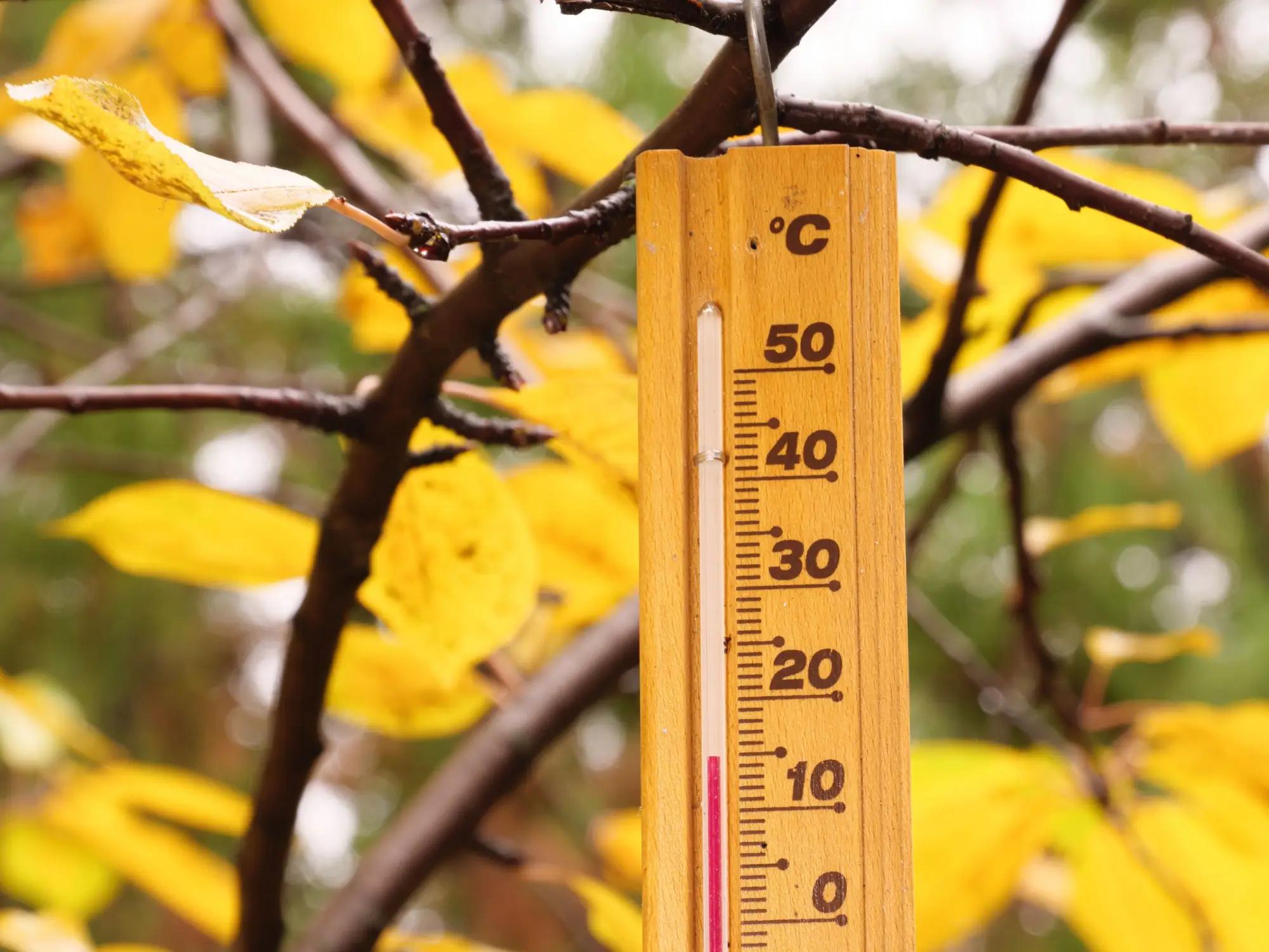 Venkovní teploměr, na pozadí zlaté podzimní listí