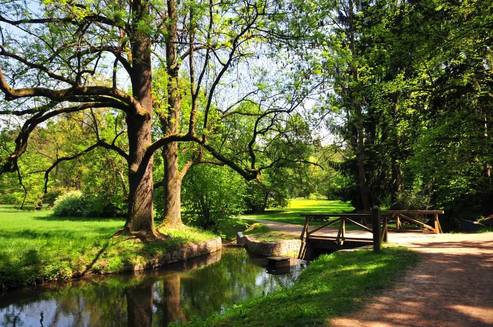 Průhonický park patří podle mnohých lidí mezi nejhezčí na světě. 