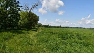 Tudy se bude jezdit na výlety celé léto. Nová cyklostezka roste u Plzně