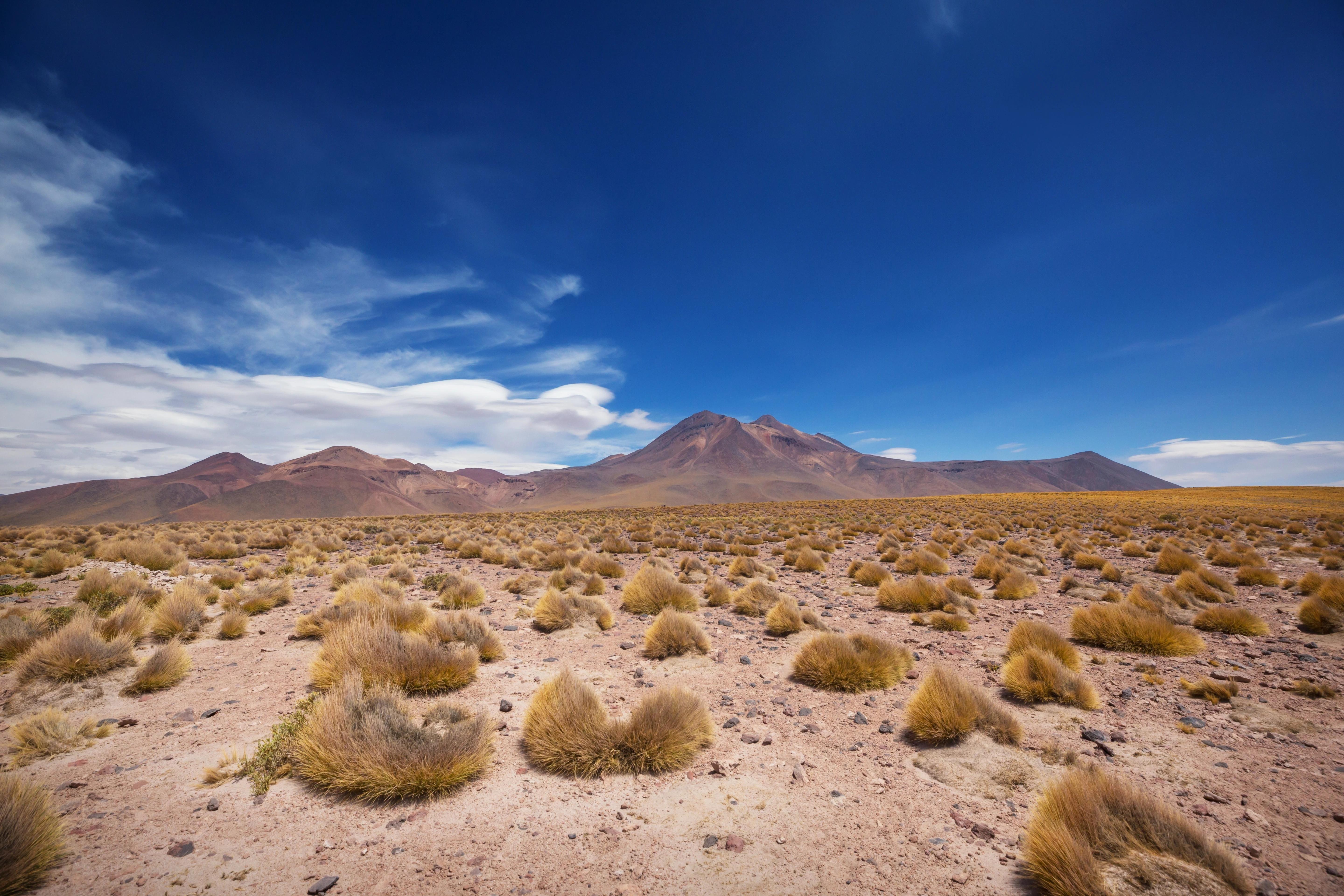 Písečně-kamenitá poušť s trsy vyschlé trávy. V pozadí je úpatí hor s modrou oblohou a bílými mraky, Poušť Atacama