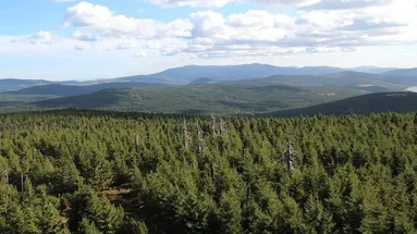 Jizerské hory jsou atraktivní destinací Česka.