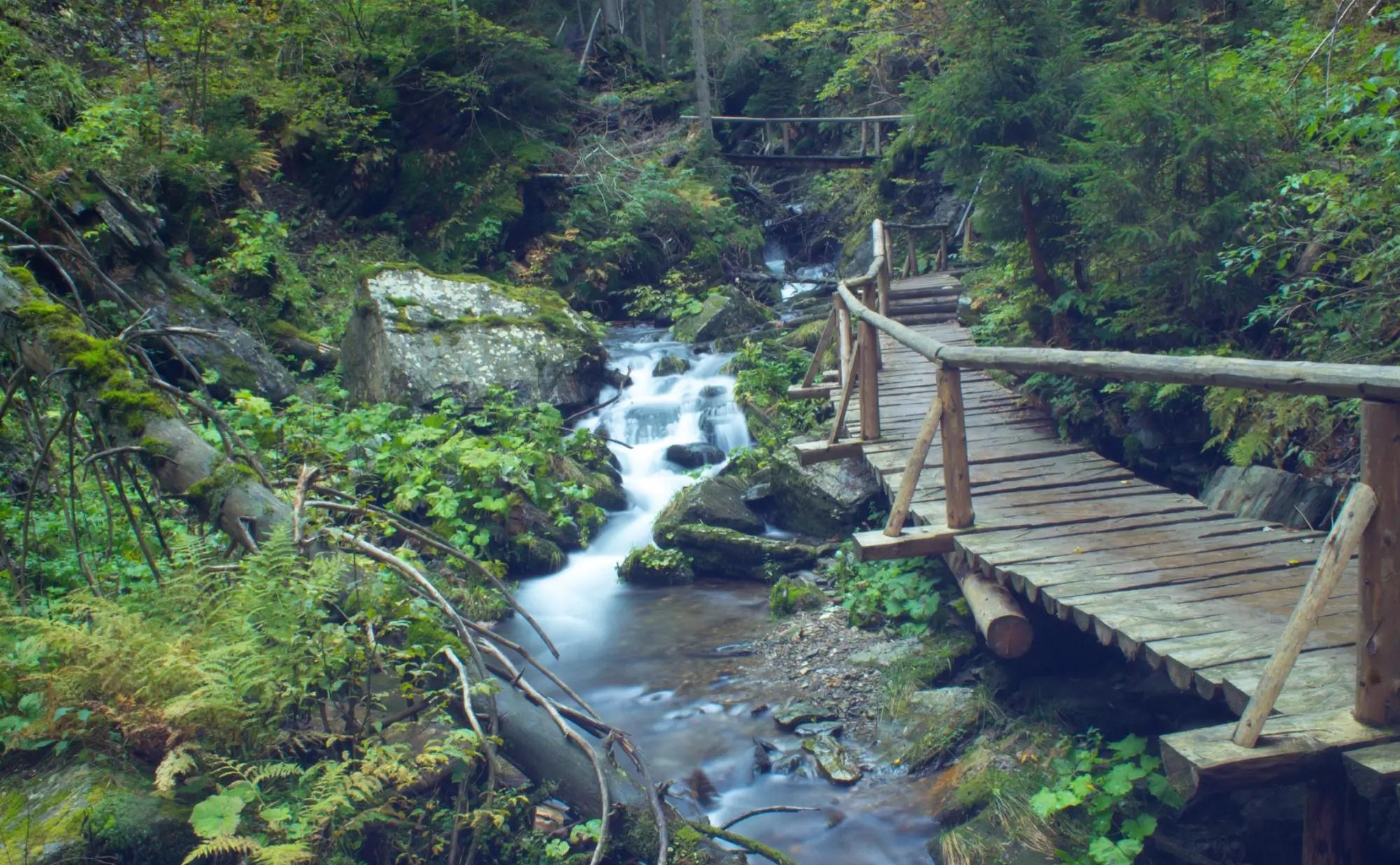 Stezka údolím Bílé Opavy