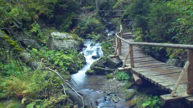 Stezka údolím Bílé Opavy