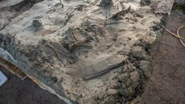 Nález psích ostatků a kostěné dýky