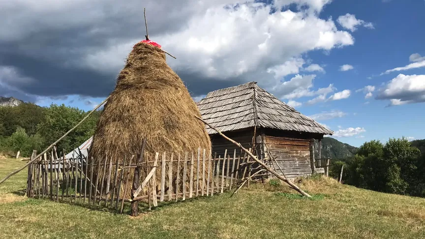 Kolem vás je samá příroda.