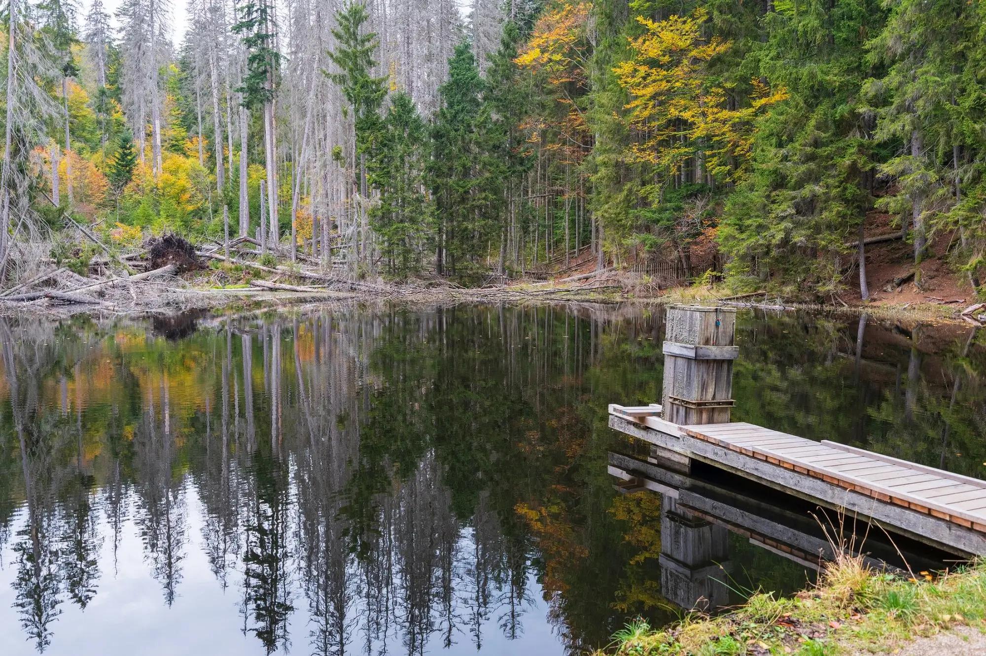 Boubínské jezírko 