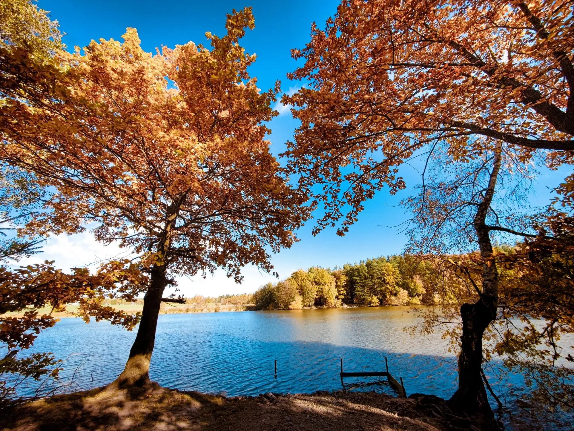 Voděradské bučiny