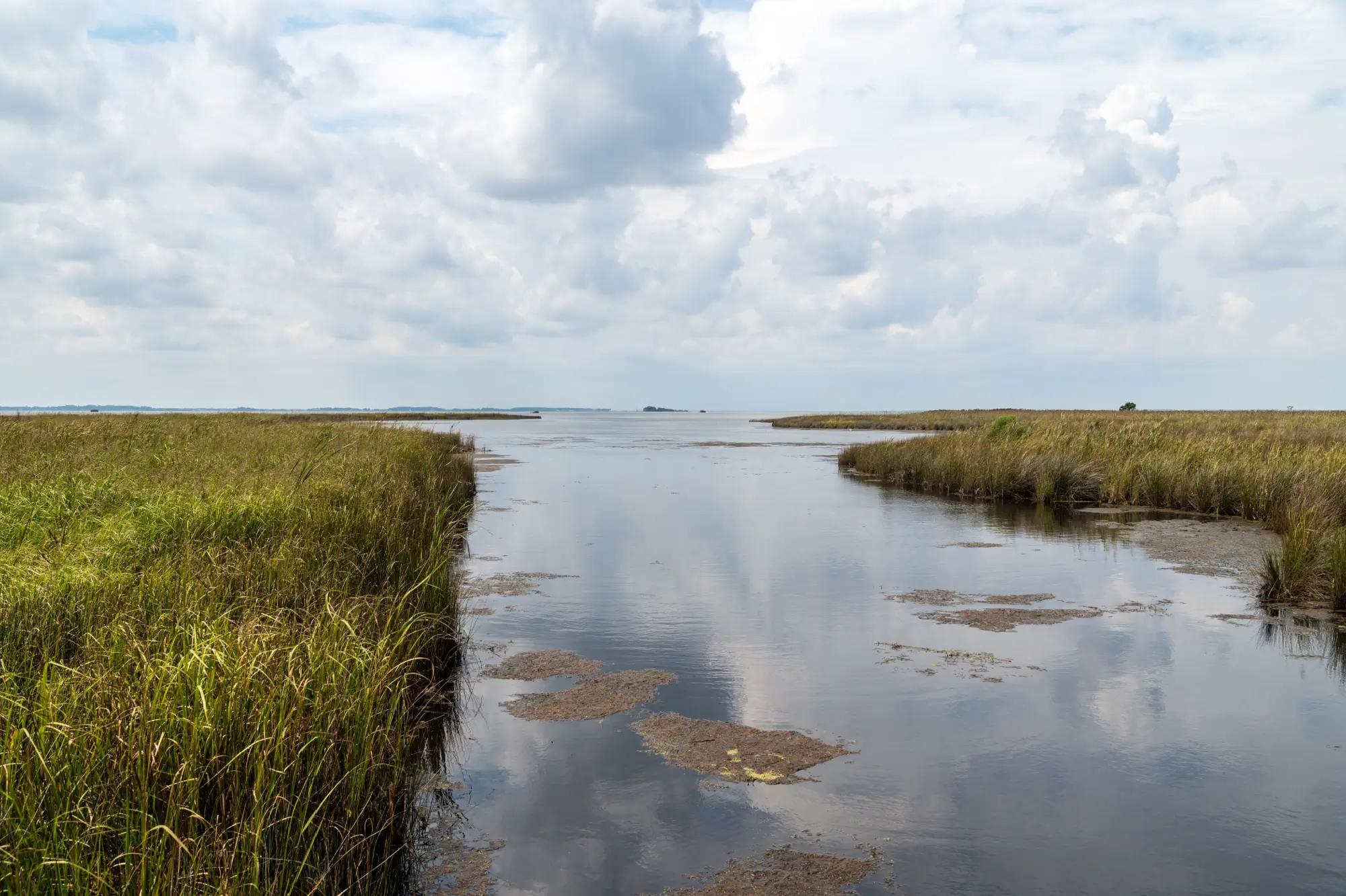 V Severní Karolíně je mnoho oblastí, které se zdají člověkem netknuté.