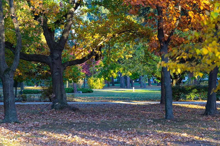 park v Hodoníně