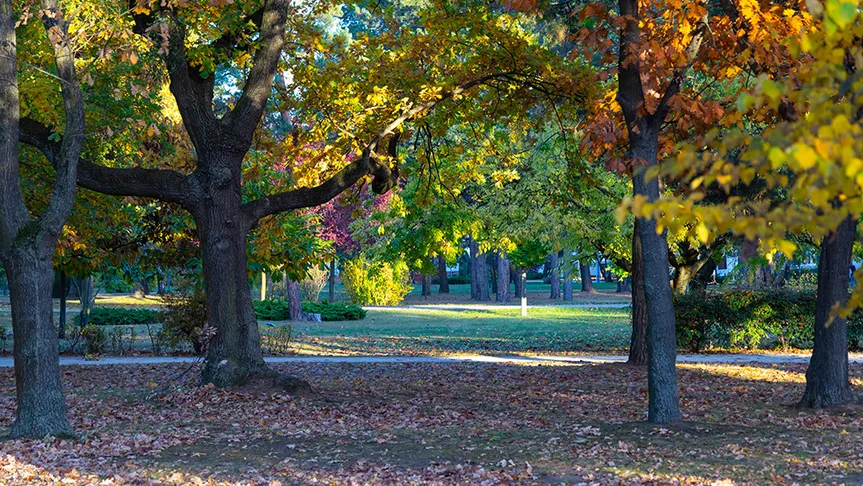 park v Hodoníně