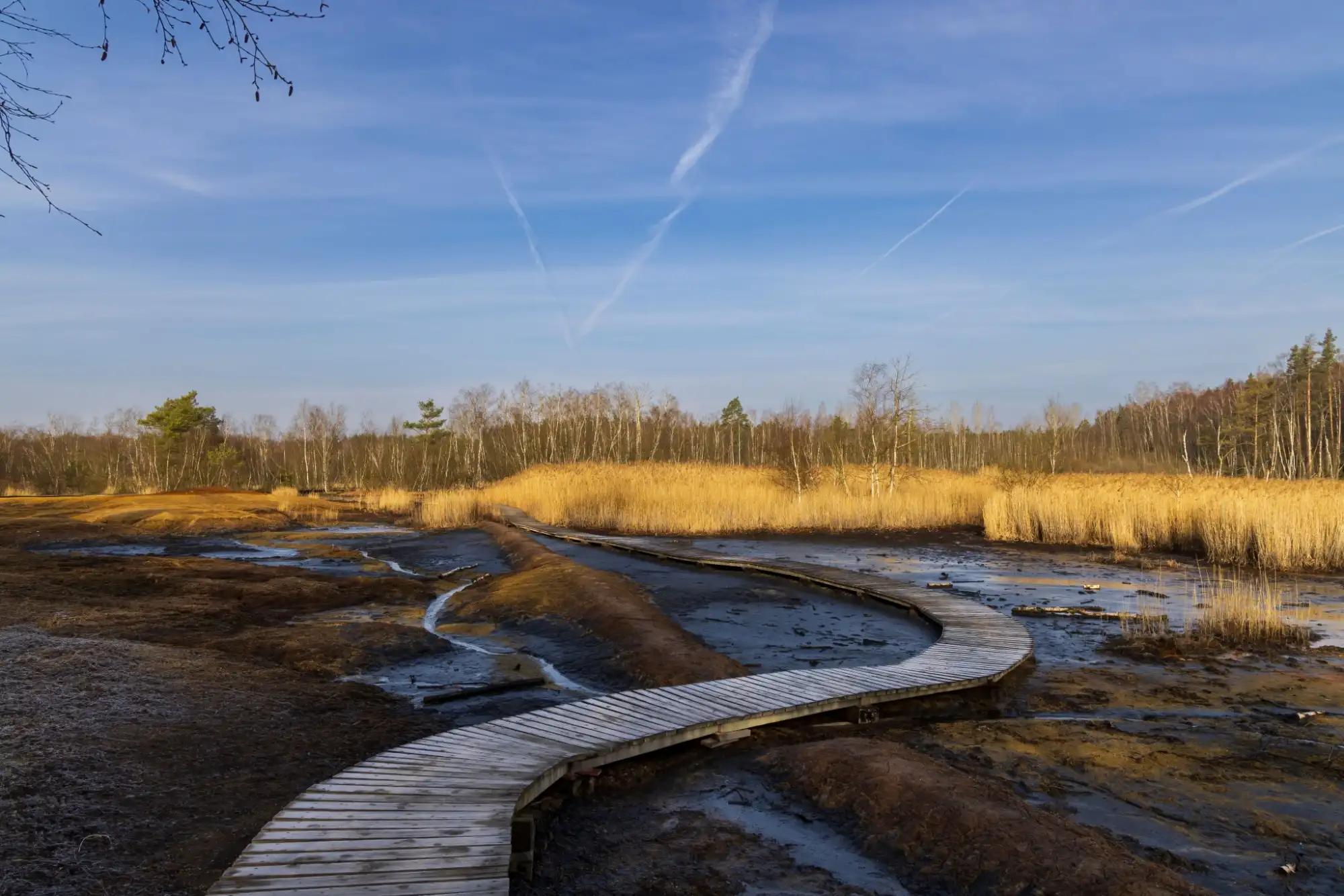 přírodní rezervace SOOS, lávka přes bublající rašeliniště