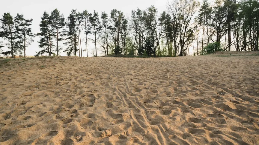 Kdo v létě hledá moře, měl by zpozornět. Jihočeské duny u Vlkova nabízejí koupání i zážitky, které v Chorvatsku nezažijete.