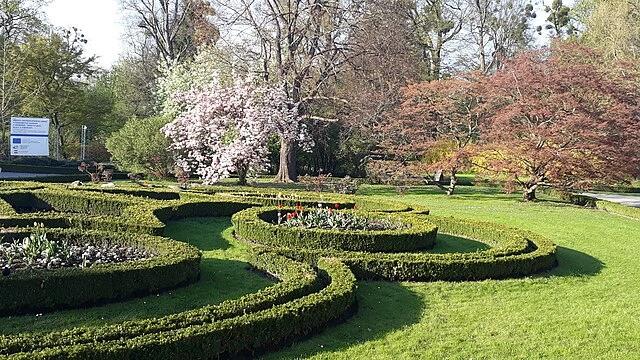 Podzámecké zahrada v Kroměříži je upravena do kulatých a elipsovitých tvarů v kterých se nacházejí květiny. V pozadí se nachází zelené stromy, z nichž jeden je bílý a druhý červený v krásném slunečném dni